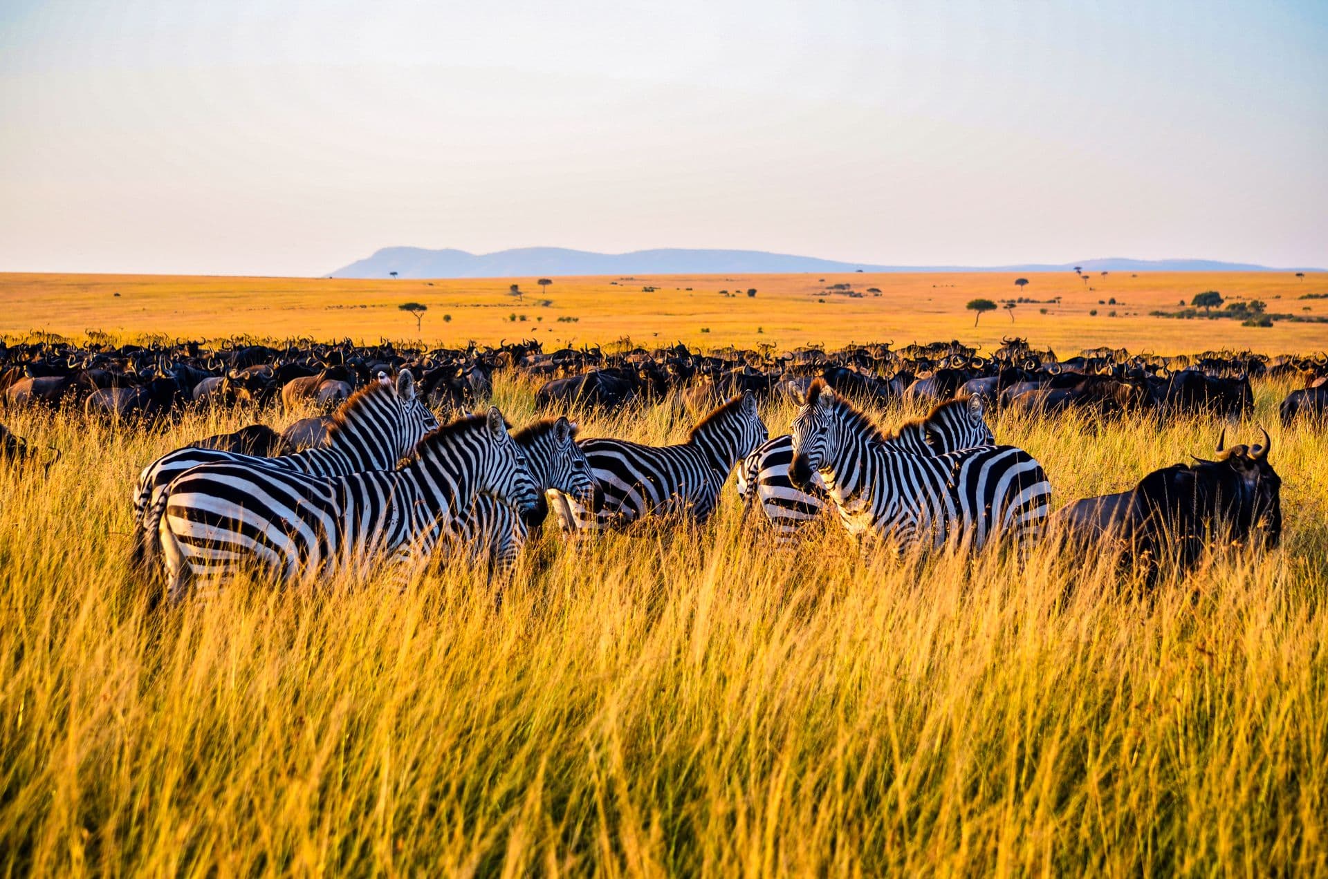 Kenya
